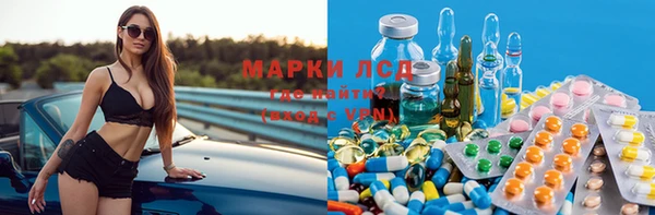 spice Новодвинск