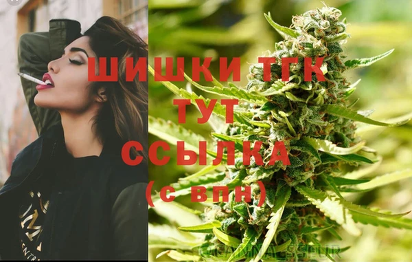 спиды Нефтекумск