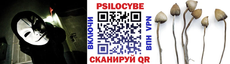 Купить закладки  Череповец  Псилоцибиновые грибы мухоморы 